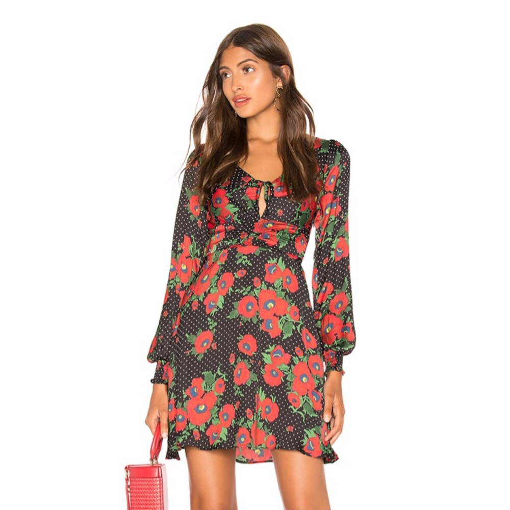 Gorgeous Free People Dress